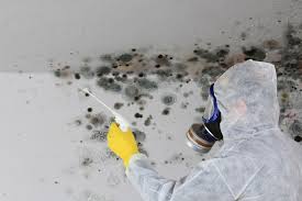 Penn Estates, PA Mold Prevention & Removal  Company